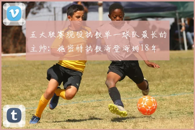五大联赛现役执教单一球队最长的主帅：施密特执教海登海姆18年
