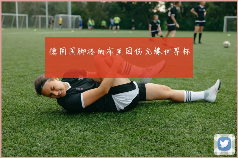 德国国脚格纳布里因伤无缘世界杯